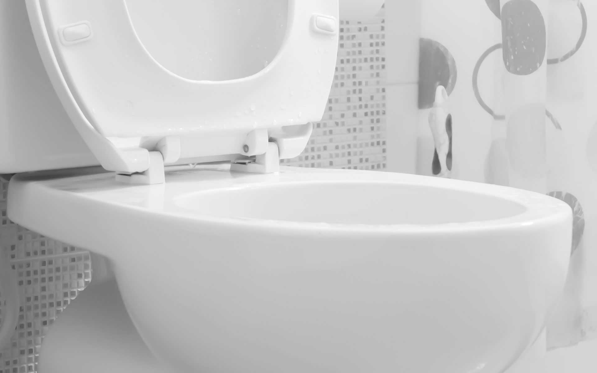 Montreal Toilet Repair